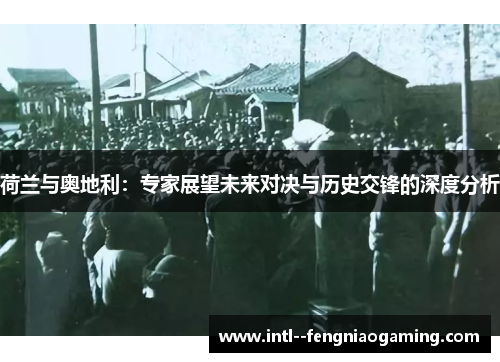 荷兰与奥地利:专家展望未来对决与历史交锋的深度分析 荷兰与奥地利:专家展望未来对决与历史交锋的深度分析