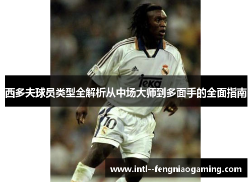 西多夫球员类型全解析从中场大师到多面手的全面指南 西多夫球员类型全解析从中场大师到多面手的全面指南