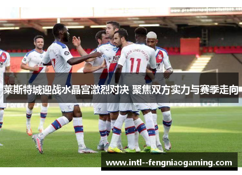 莱斯特城迎战水晶宫激烈对决 聚焦双方实力与赛季走向 莱斯特城迎战水晶宫激烈对决 聚焦双方实力与赛季走向
