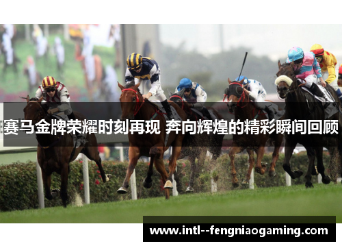 赛马金牌荣耀时刻再现 奔向辉煌的精彩瞬间回顾