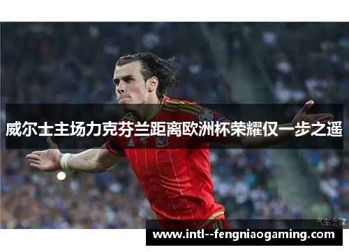 威尔士主场力克芬兰距离欧洲杯荣耀仅一步之遥