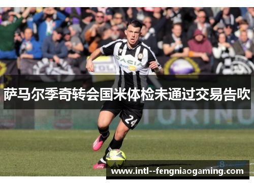 萨马尔季奇转会国米体检未通过交易告吹