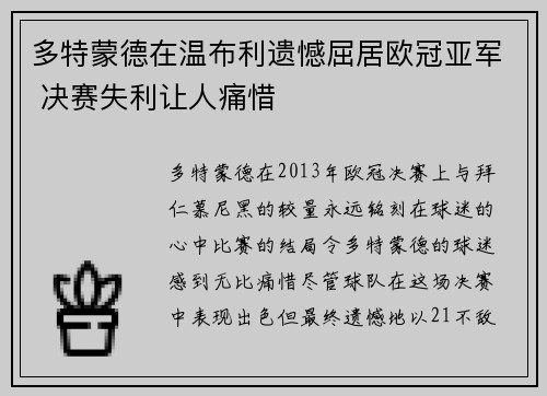多特蒙德在温布利遗憾屈居欧冠亚军 决赛失利让人痛惜