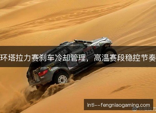 环塔拉力赛刹车冷却管理，高温赛段稳控节奏